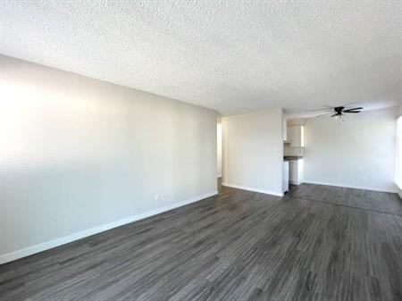 One Bed, One Bath Apartment in Downtown Maple Ridge