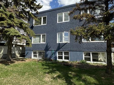 Cozy & Bright 1 Bed 1 Bath Apartment*Heat & Water Included*Pet Friendly! | 10923 124 Street, Edmonton