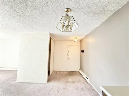 1 bedroom condo Richmond