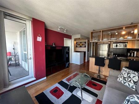 BRIGHT MOVE-IN READY FULLY FURNISHED 1 BR CONDO