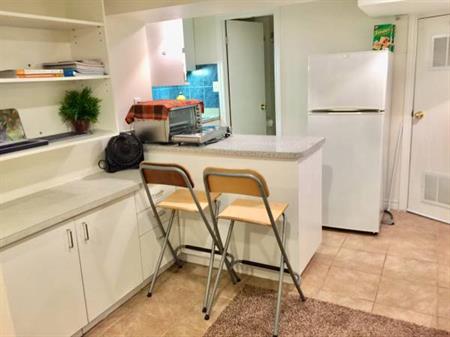 Furnished Bachelor near U of T and George Brown College Oct.1