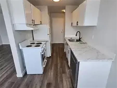 1 Bedroom Suite w/ PLANK FLOORING & DISHWASHER 9570 163 Street NW | 9560 163 Street Northwest, Edmonton