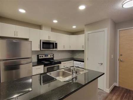 MODERN 1 Bedroom with In-suite laundry AND Dishwasher | 16315 96A Avenue Northwest, Edmonton