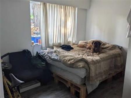 Full apartment 1bd in Vancouver. All INCL PET FRIENDLY