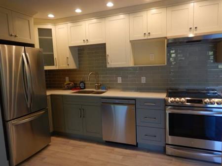 Recently Renovated Spacious Apartment in Ladner!!