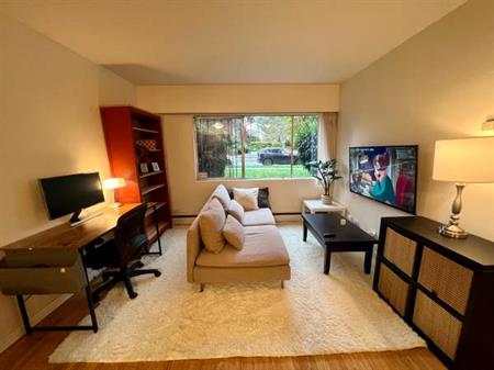 Bright & Beautiful 1 Bed 1 Bath Apt Fully Furnished Apartment