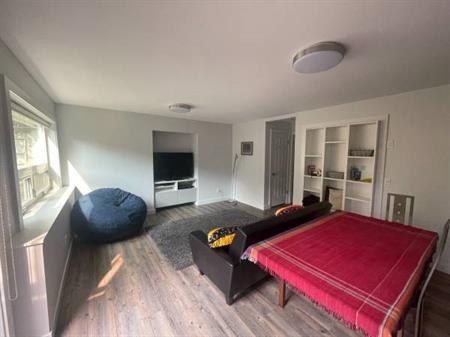 Bright, spacious 1 BR semi-furnished (8-month lease)