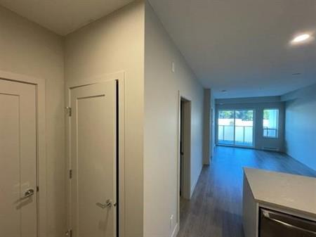 Modern 1BR/In suite laundry/SS appliances/Vinyl flooring/No pets