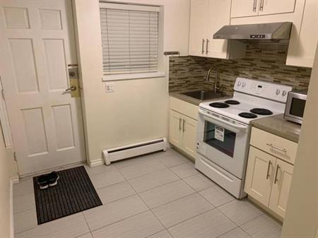 Fully Renovated 2-bed/1Bath Suite in Fraser Heights