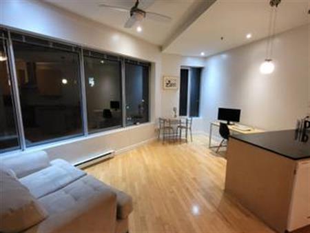 APPARTEMENT SPACIEUX 2 1/2 MEUBLÉ sur Saint Denis et Sherbrooke!