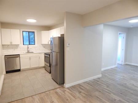 Newly renovated Bright 3-bedroom Apartment in Plateau