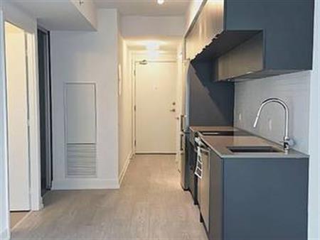 Dundas St E / Jarvis St Elegant 1Bdrm +Den Near Eaton Centre, Park