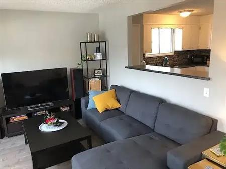 spacious 3 bedroom in erlton | 41A 28 ave sw, Calgary