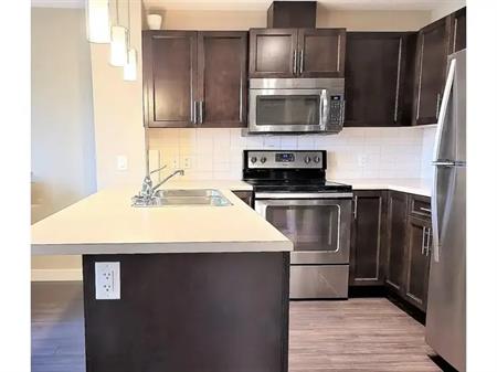 Modern 1 Bedroom Condo + Spacious Den | 3670 139 Avenue Northwest, Edmonton