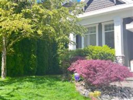 South Surrey 2 bedrooms 1 bathroom Semi-Basement Suite for rent