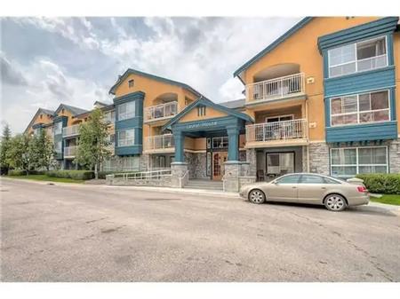 Unit 210 25 Richard Place SW | 210 25 Richard Place SW, Calgary