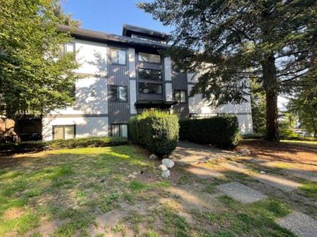 Pet-Friendly 1-Bed, 1-Bath Apartment in Marpole, Vancouver