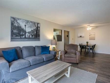 Fully Furnished, Renovated 1-Bedroom Condo in Central Chilliwack