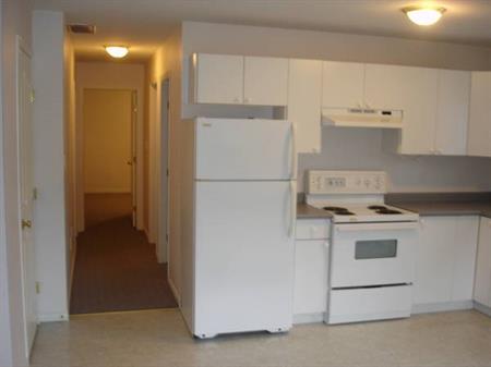 Very nice 1 bedroom suite on main floor