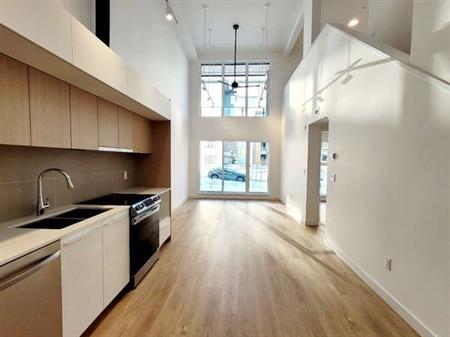 SFU 2 bedroom 2 bath one year new low-rise loft condo