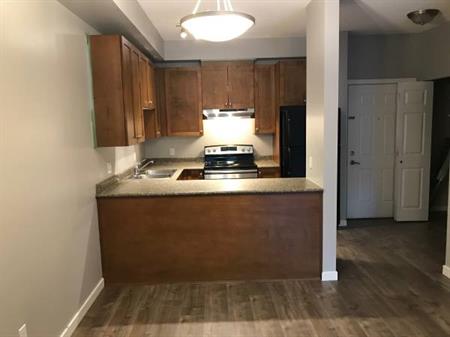 1bedroom condo