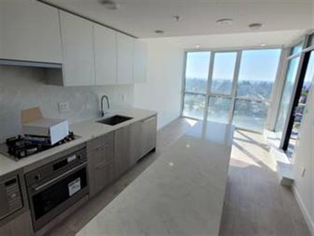 Brand new 1 bedroom apartment for rent on the 15th floor.