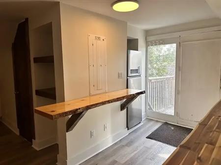 Brand new home | 172 Maryland Street, Winnipeg