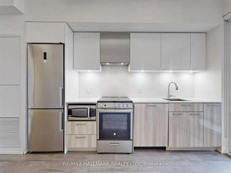 Dundas St E/Jarvis St Gorgeous 1Bdrm Flr To Ceiling Windows 1Balcony