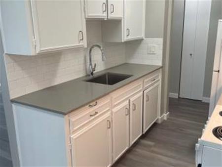 ALL NEWLY RENOVATED 1 BEDROOM