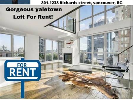 Renovated View LOFT for rent