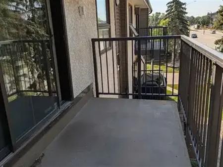 Condo - 1 Bed 1 Bath w/ Loft & Walk-in Closet | 22 - 1895 Saint Mary's Road, Winnipeg