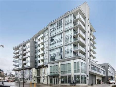 Van East Collingwood 1 bdrm suite for rent Oct 24th, 2024