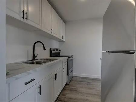 COZY 3 BEDROOM NEW RENOVATION | A - 2205 48 Street Southeast, Calgary