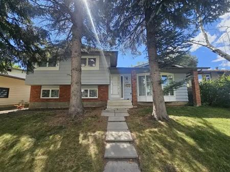 Stop and take a look at this hidden gem, 5 BDRM, family and pet friendly | 339 Queensland Place Southeast, Calgary