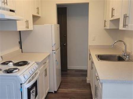 Newly Renovated 1 Bedroom - Royal Clinton