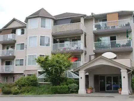 Large Studio Apartment Available October 1st! | 5400 200 Street, Langley