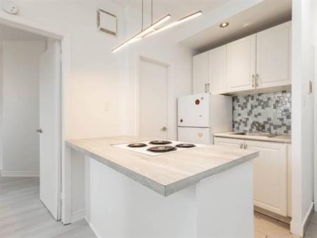 181 GERRARD ST. E. #203 - NEWLY RENOVATED 1BR/1BATH, STEPS TO TTC!