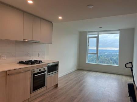 Brand new 1 bed 1 bath condo for rent in Coquitlam