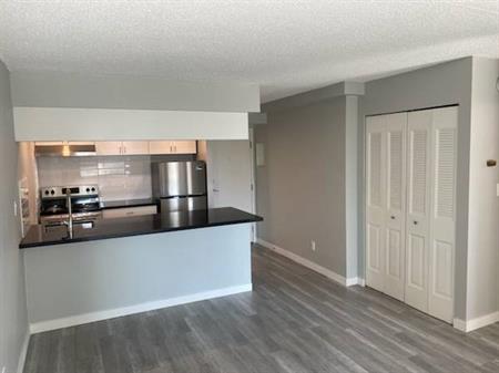 Newly Renovated Two Bedroom Suite for Rent