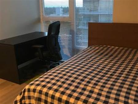 Richmond Center 1 bedroom and1 bathroom