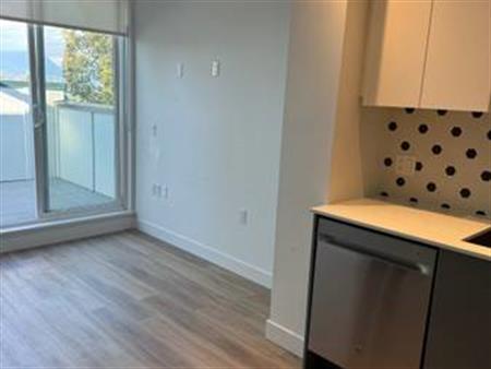 New Mountainview studio w/balcony Available