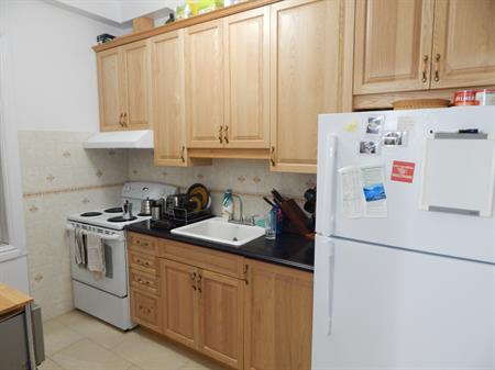 Spacious 1-bedroom Apartment In Plateau