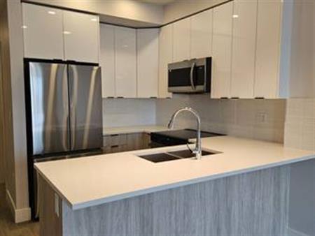 Brand New 1 Bedroom + Den Condo for Rent