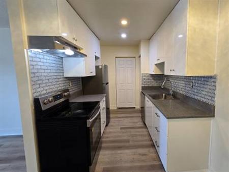 Newly Renovated 2 Bdrm Apart Downtown Langley