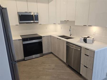 HUGE 747 sqft BRAND NEW 1-bedroom Condo in Langley