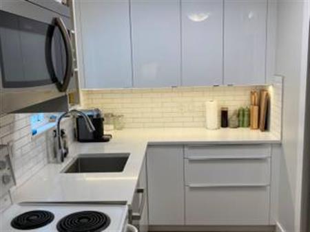 Kitsilano 1 bedroom - fully renovated