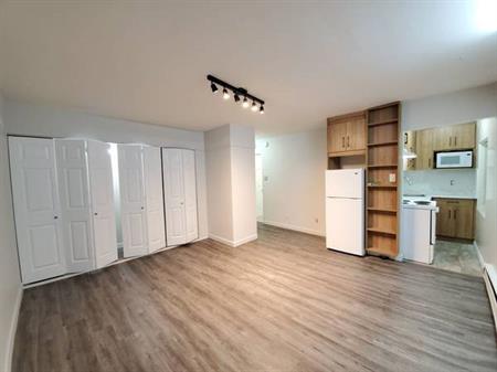 Renovated Studio in New Westminster