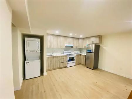 Brand New (1 bedroom, 1 bath) Basement in Evergreen - Perfect for Small Family | Calgary