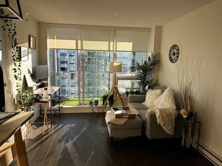 1 Bed 1 Bath Apartment Furnished Move in Oct 1