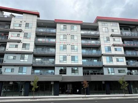 Brand new, amazing 1 BR Suite @ Icon / Langley City